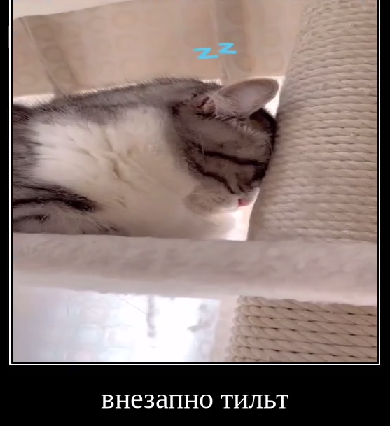 1708488778526.png