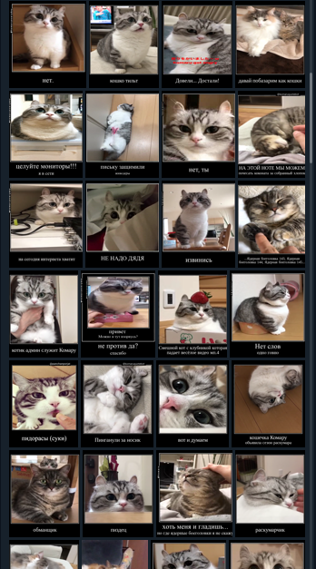 1708488836071.webp