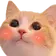 1708529721325.webp