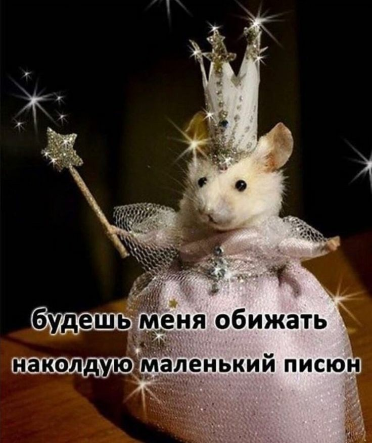 1708590103650.webp