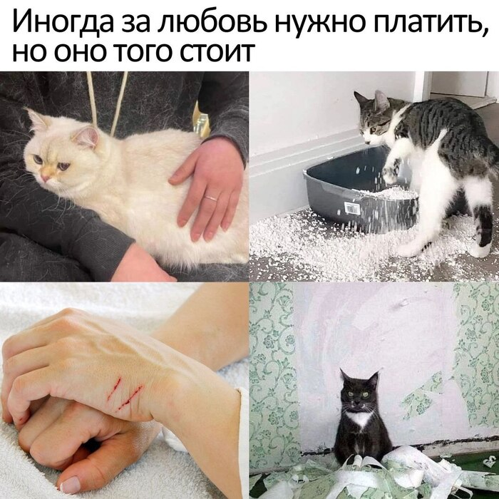 1708592123289.webp