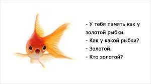 1708625839506.webp