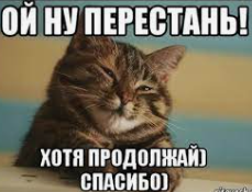 1708646213187.webp