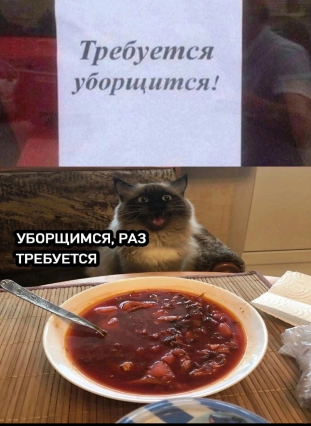 1708781327587.webp