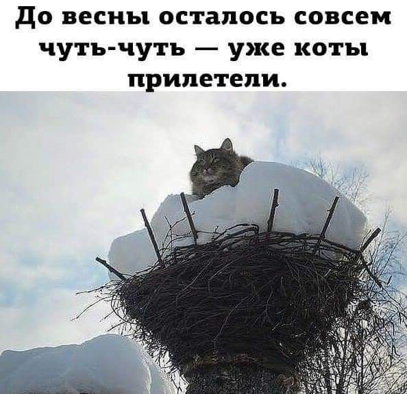 1709123404178.webp