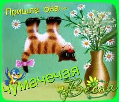 1709240901652.webp