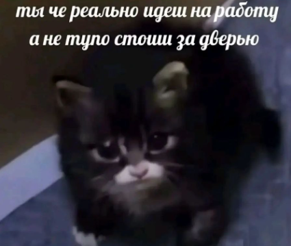 1709279780022.webp