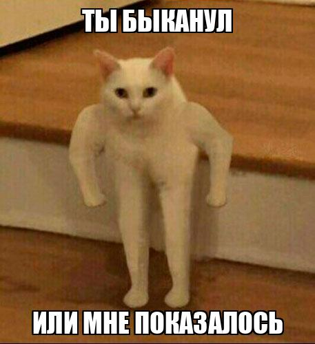 1709390224488.webp