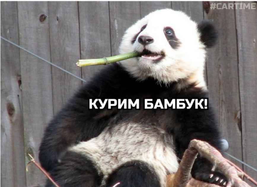 1709488503225.webp