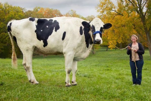 1709575882469.webp