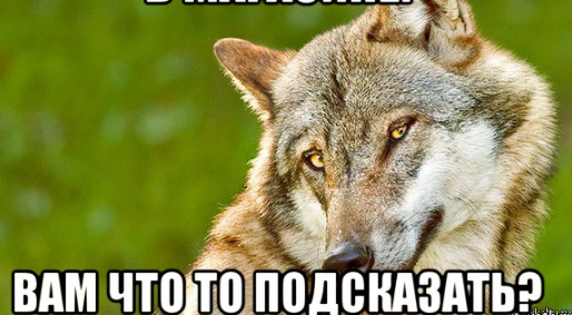 1709841157096.webp