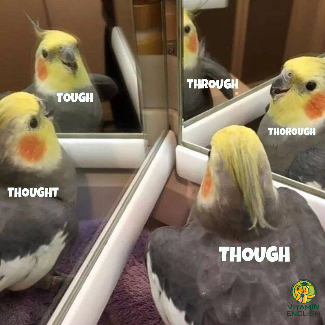 1709845134190.png