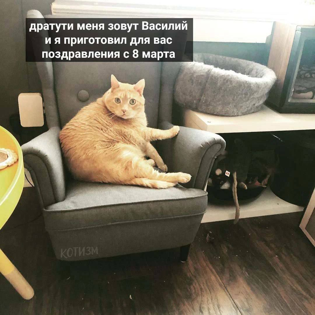 1709887682543.png