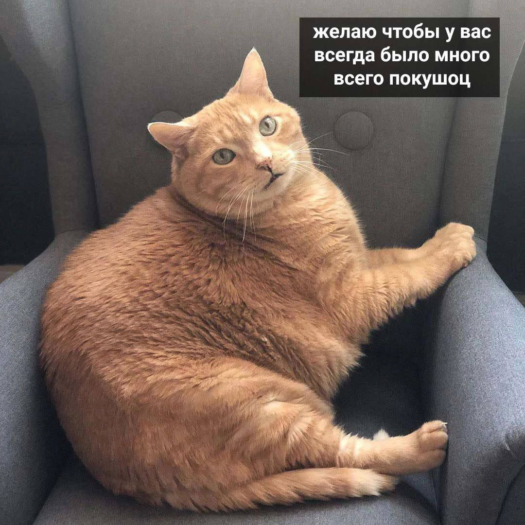 1709887698039.png