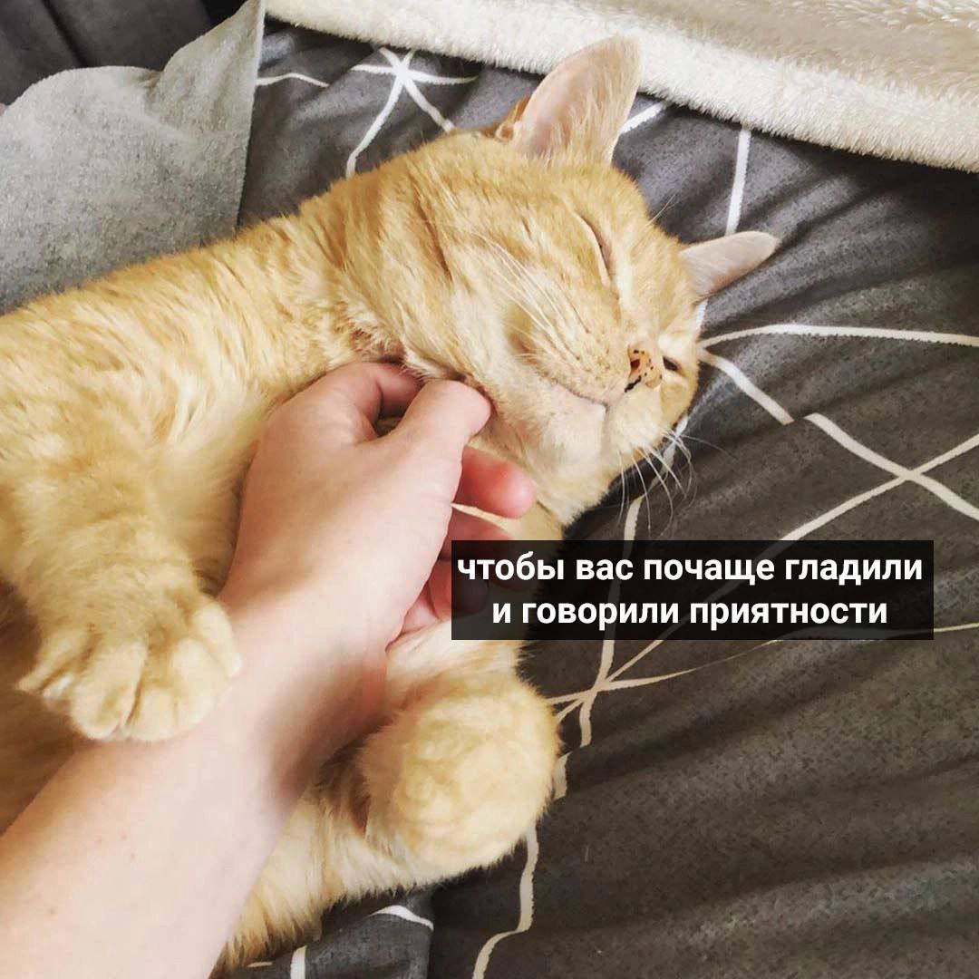 1709887719901.png