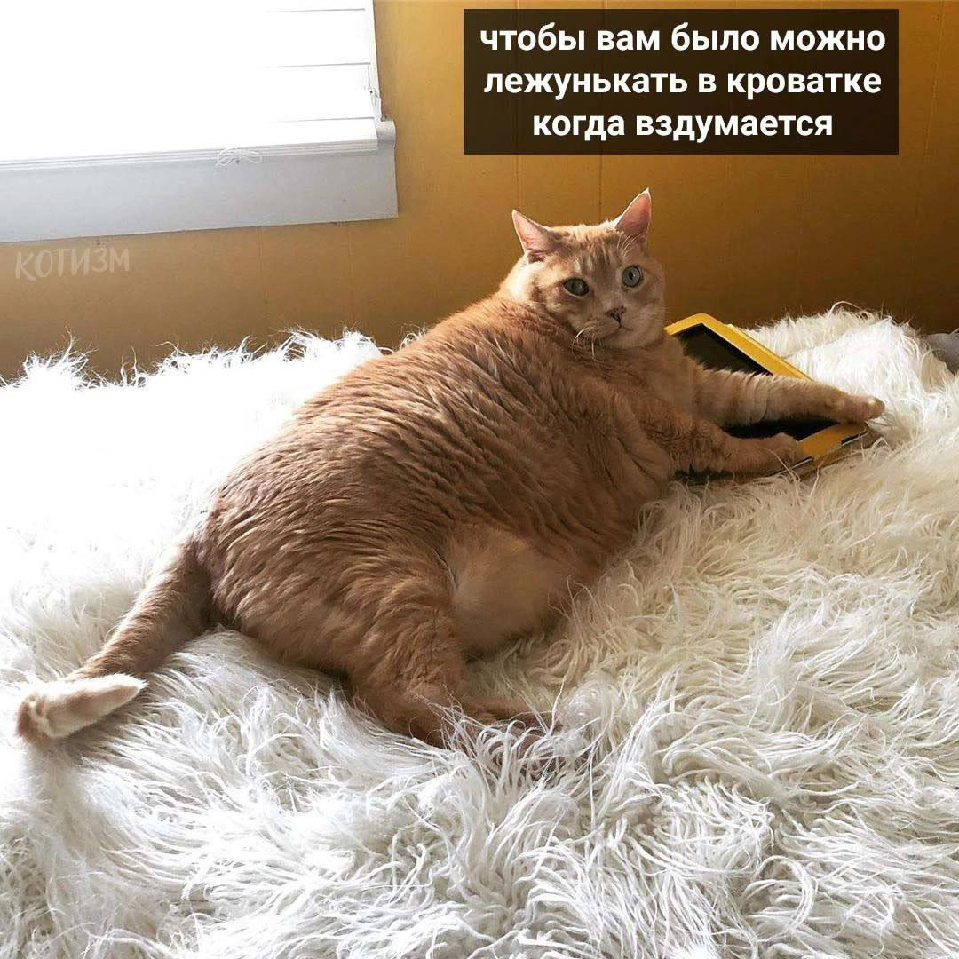 1709887751534.png