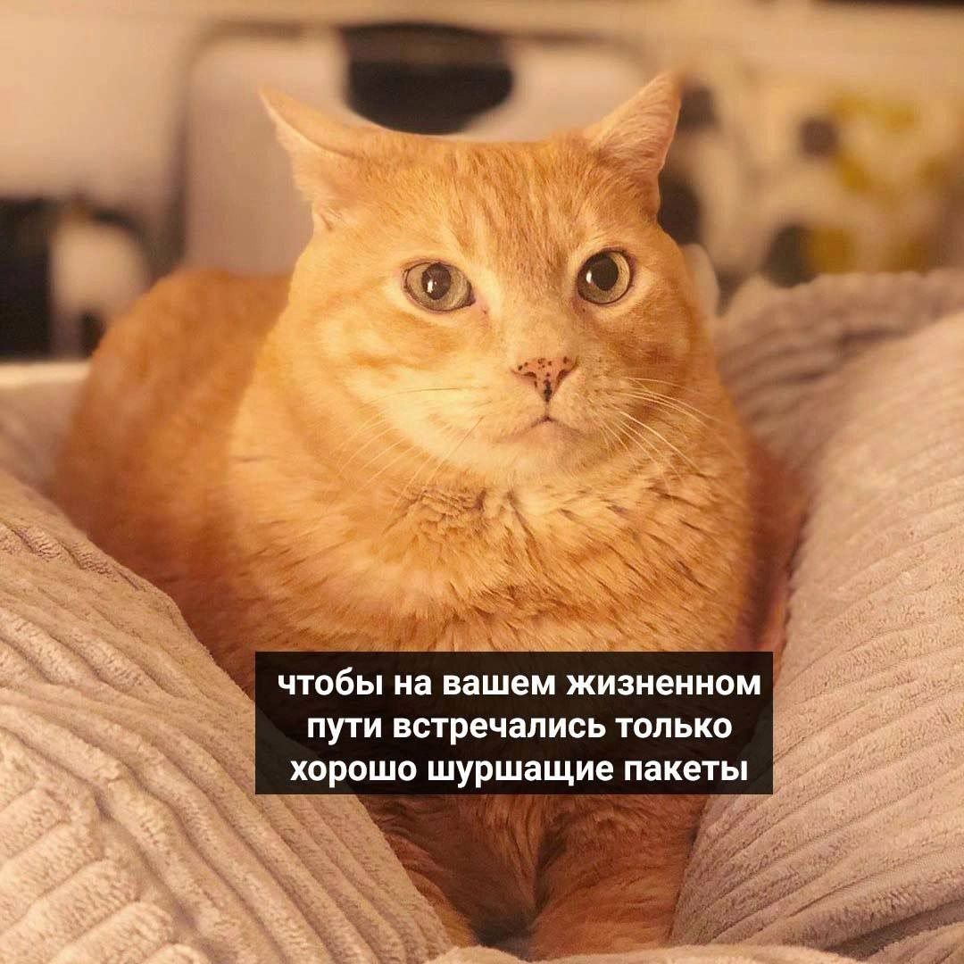 1709887788037.png