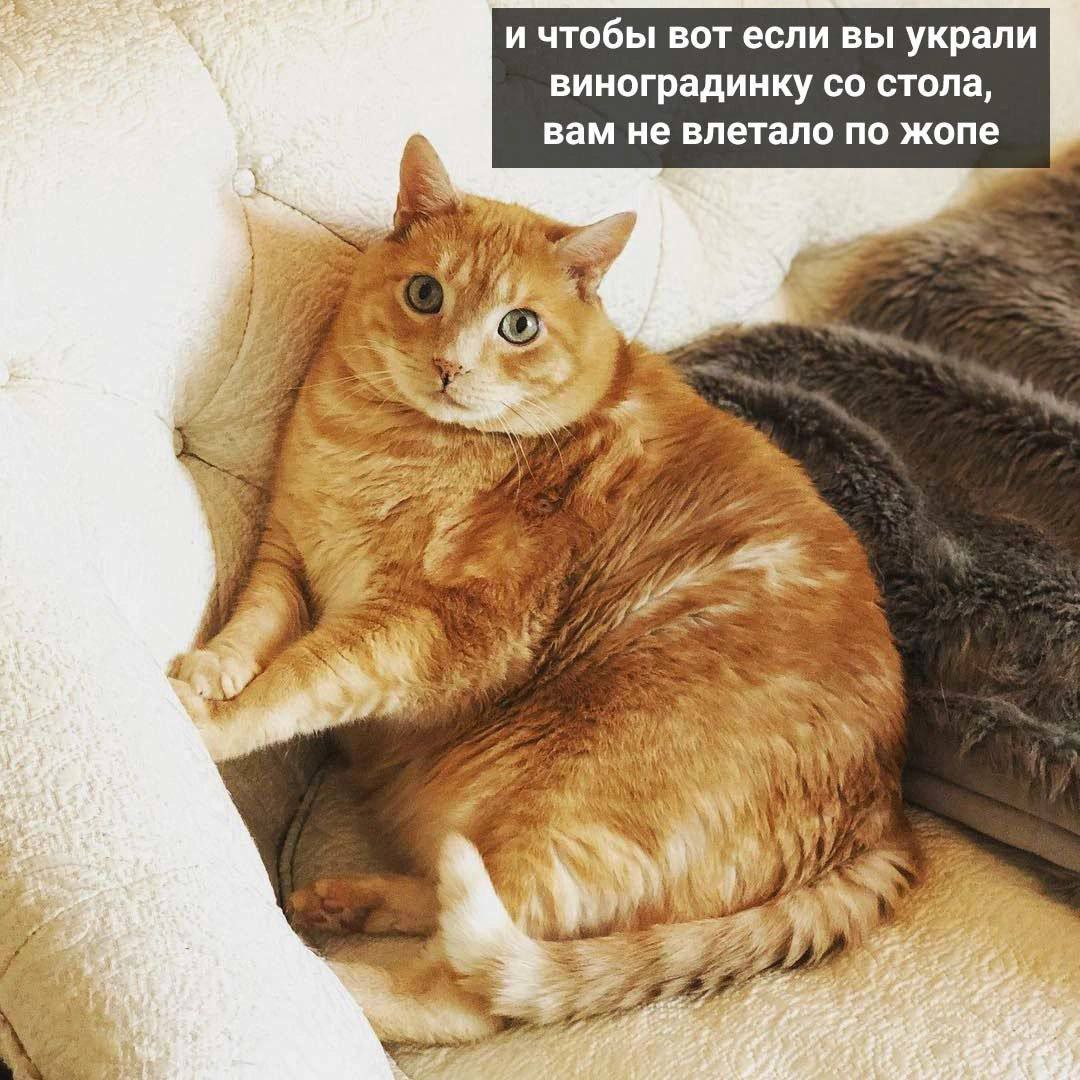 1709887825669.png