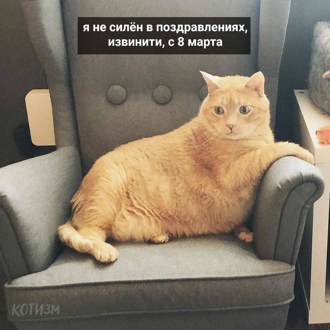 1709887850493.png