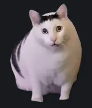 1709893248320.webp