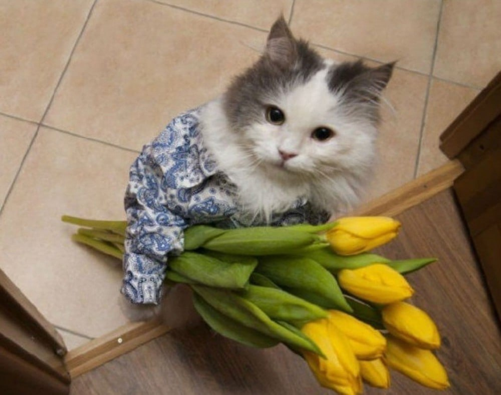 1709926369747.webp