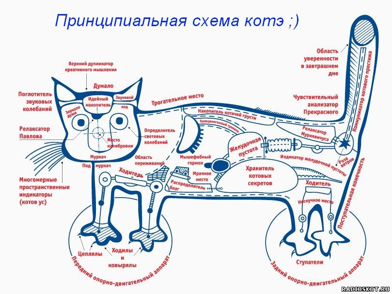 1710005417618.webp