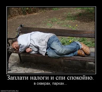 1710235836367.webp