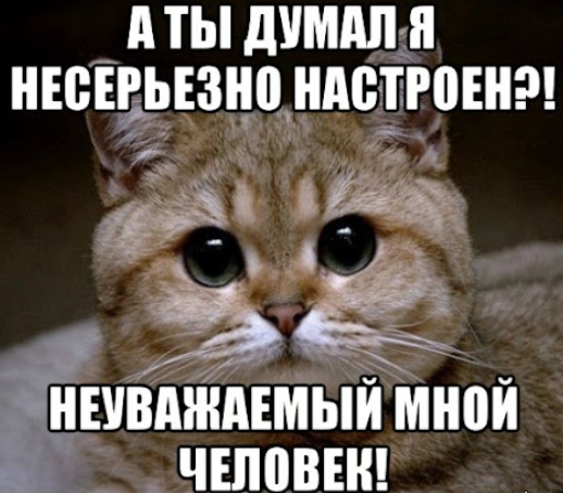 1710529781681.webp