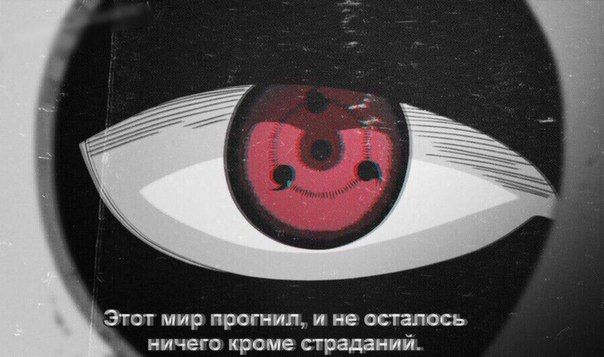 1710582348617.webp