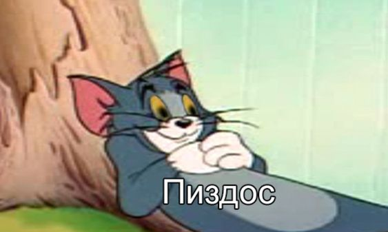 1710604794889.webp