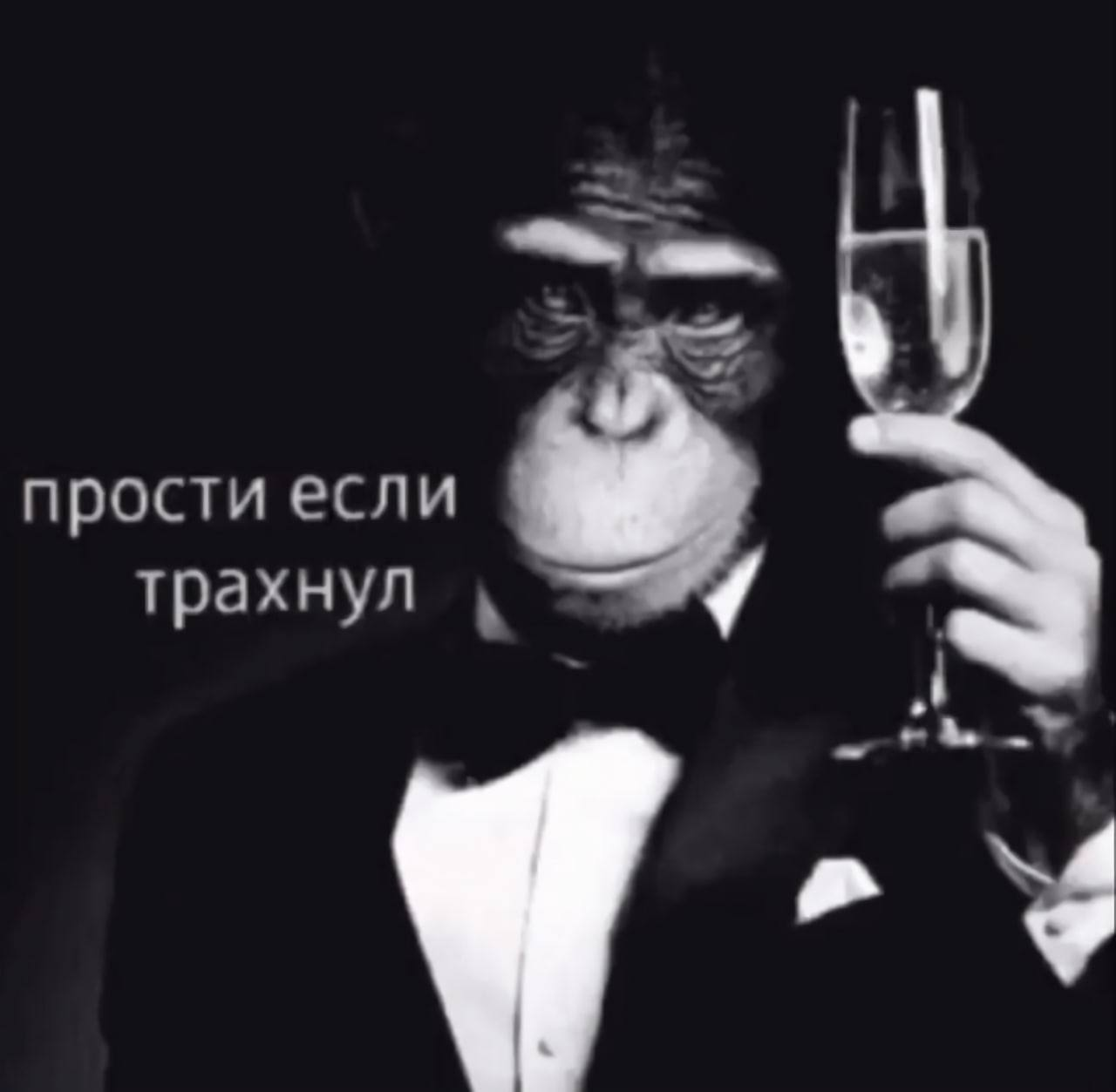 1710694300429.webp