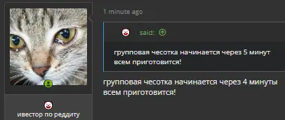 1710884924528.webp