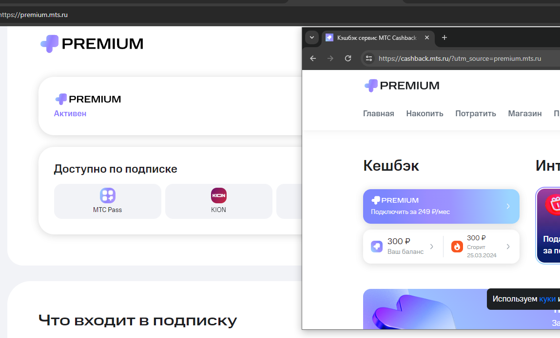 1711119158030.webp