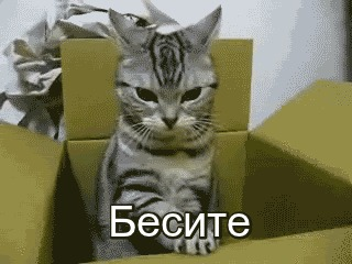 1711149446628.webp
