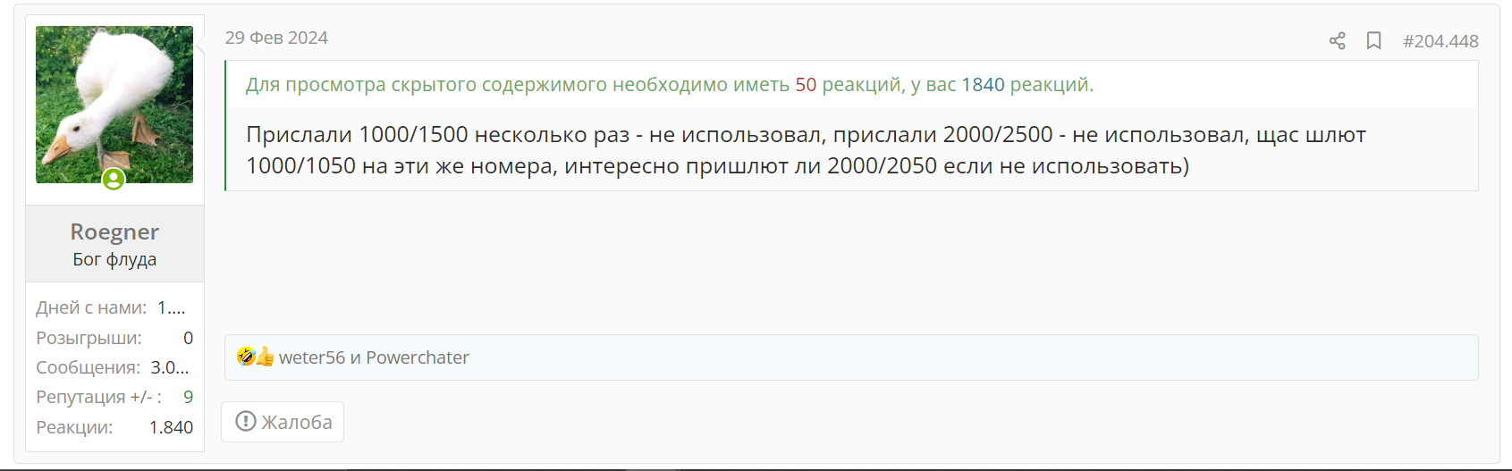 1711455256789.webp