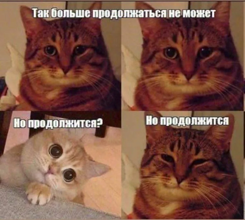 1711648340089.webp