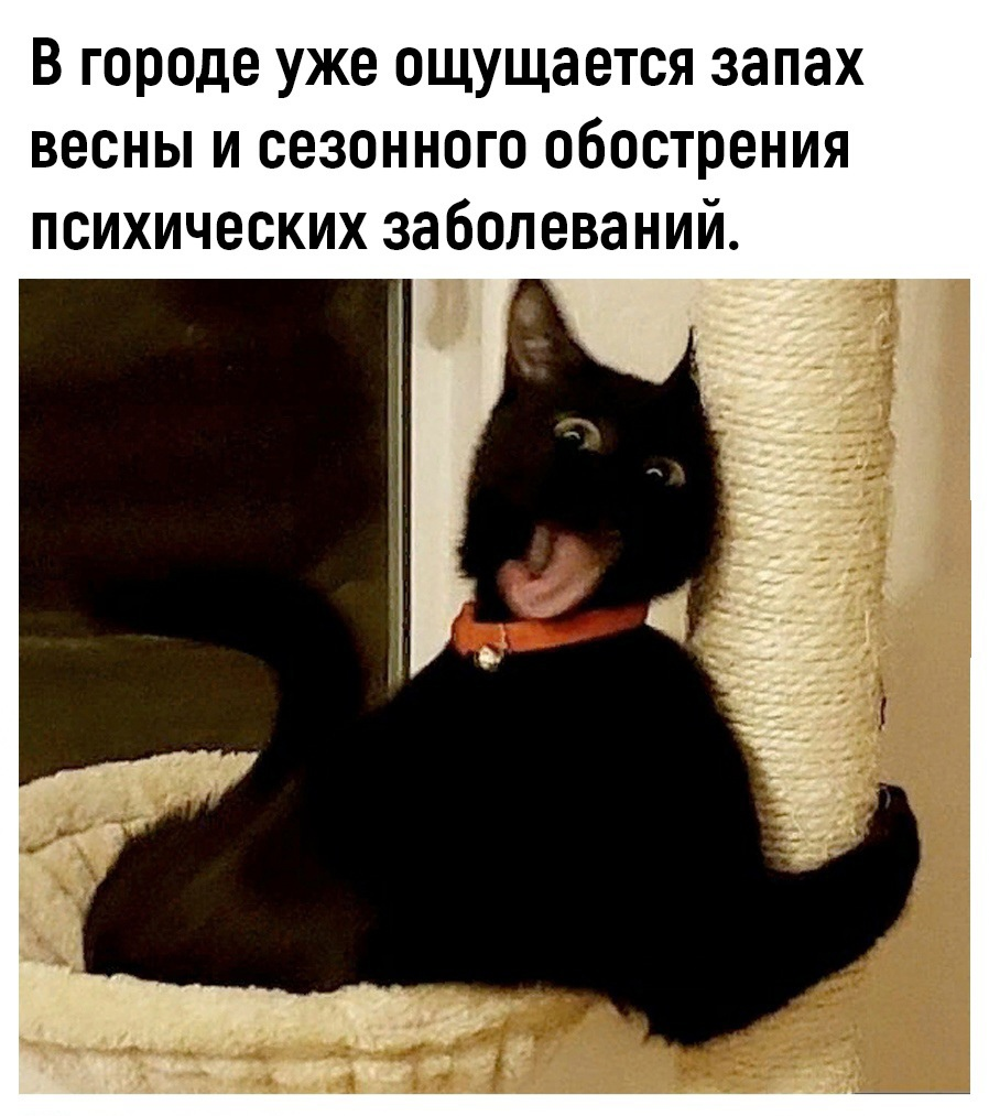 1711898893419.webp