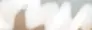 1712042445877.webp