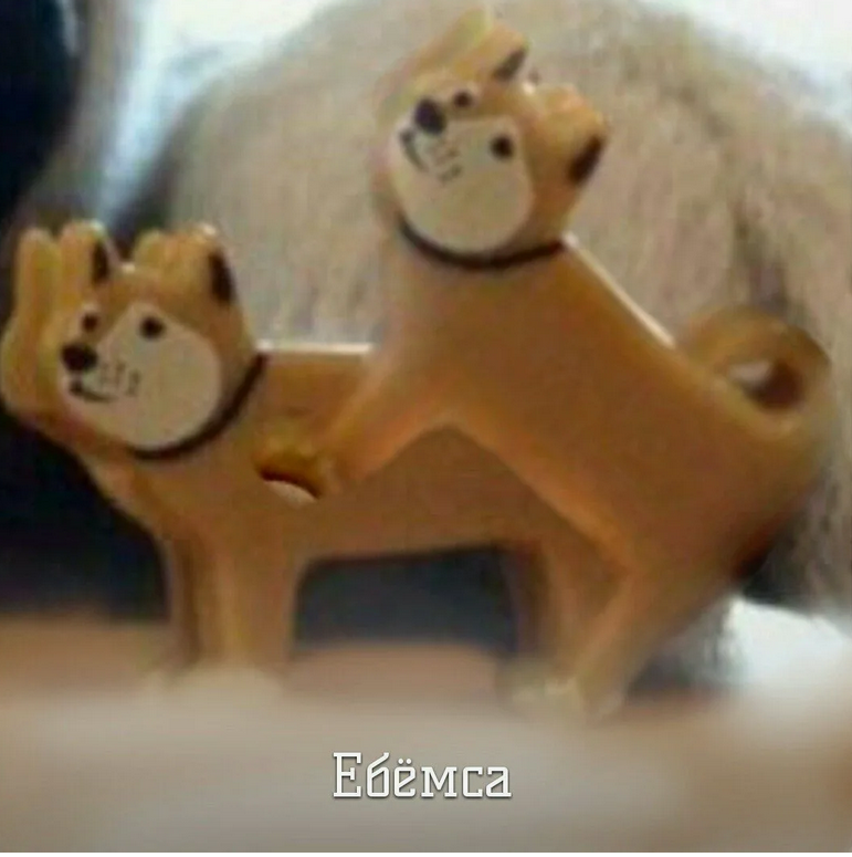 1712053122573.webp