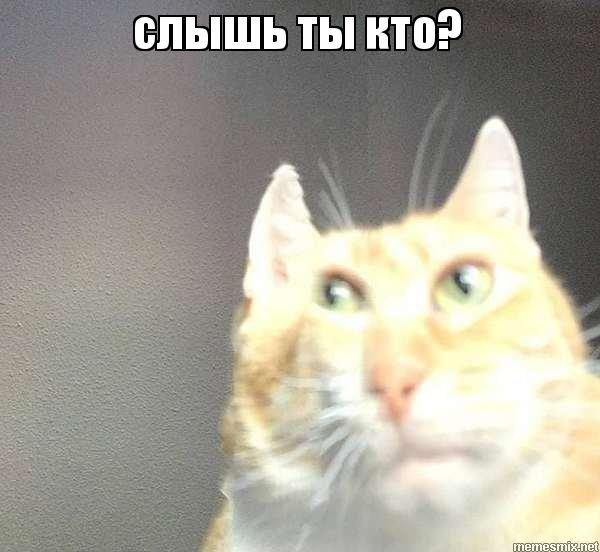 1712330229114.webp