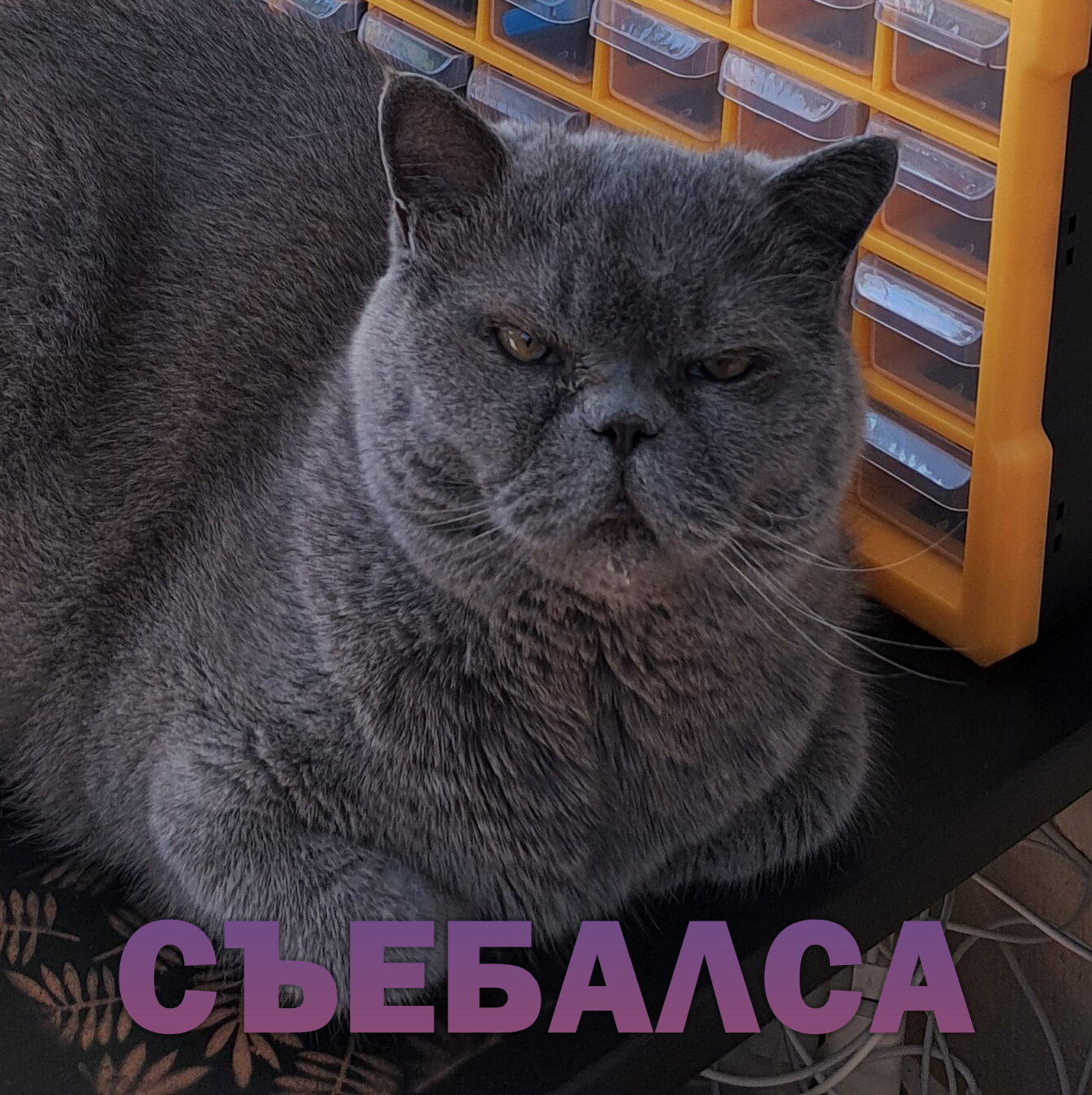 1712481902361.webp