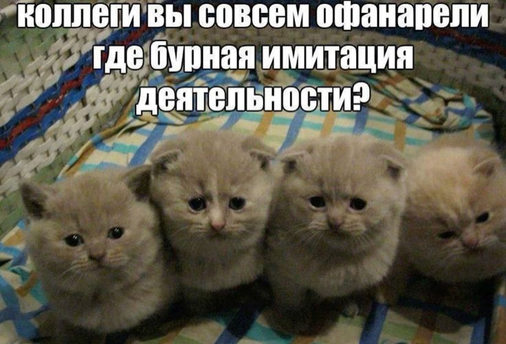 1712488613289.webp