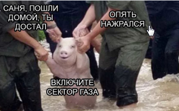 1712559580181.webp