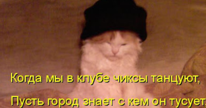 1712683121007.webp