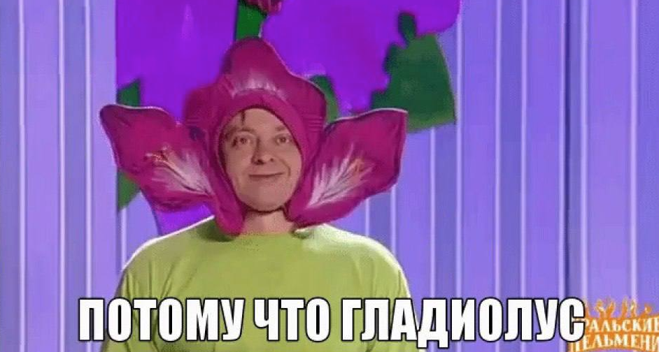 1712959206529.webp