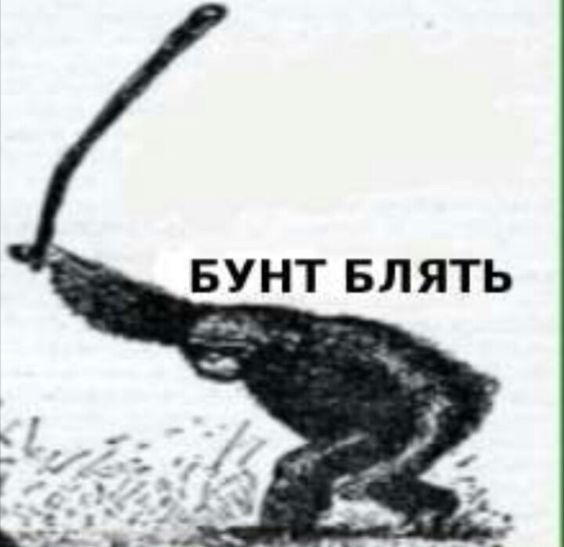 1713214158285.webp