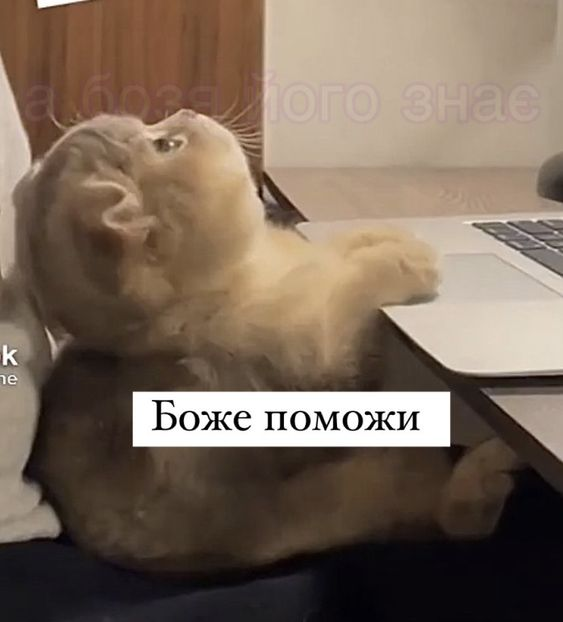 1713431191303.png