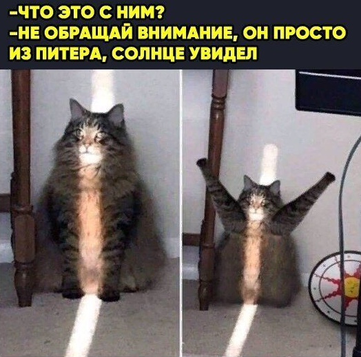 1713618284927.webp