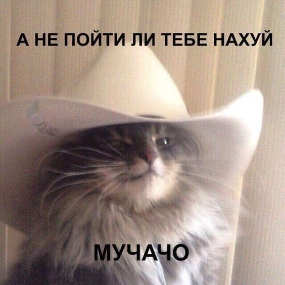 1713816959405.webp