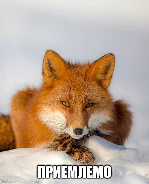 1714065089543.jpeg
